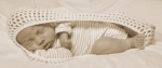 Olivia 1 sepia.jpg
